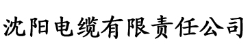 老董门卫电缆厂logo